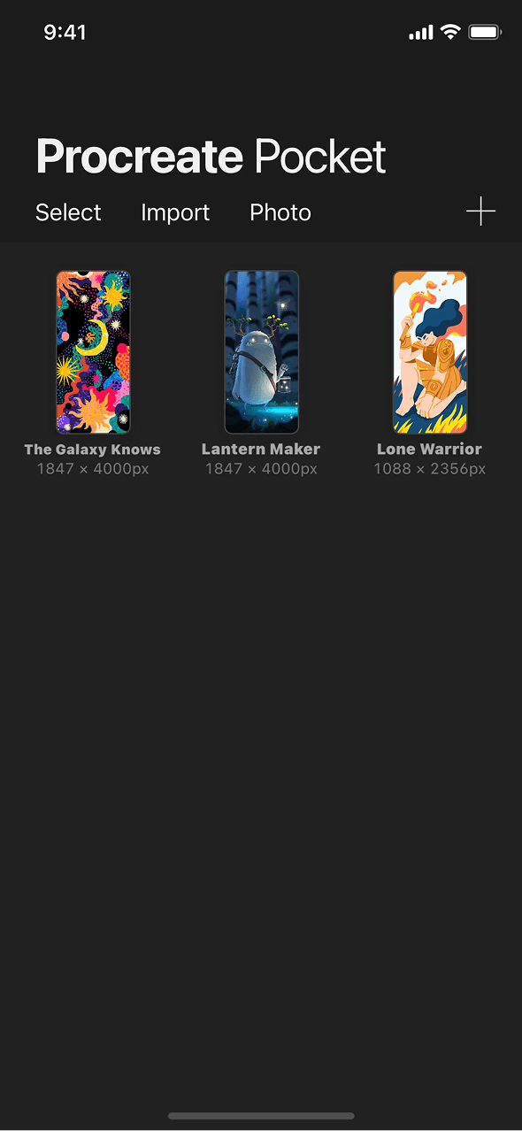 Procreate Pocket